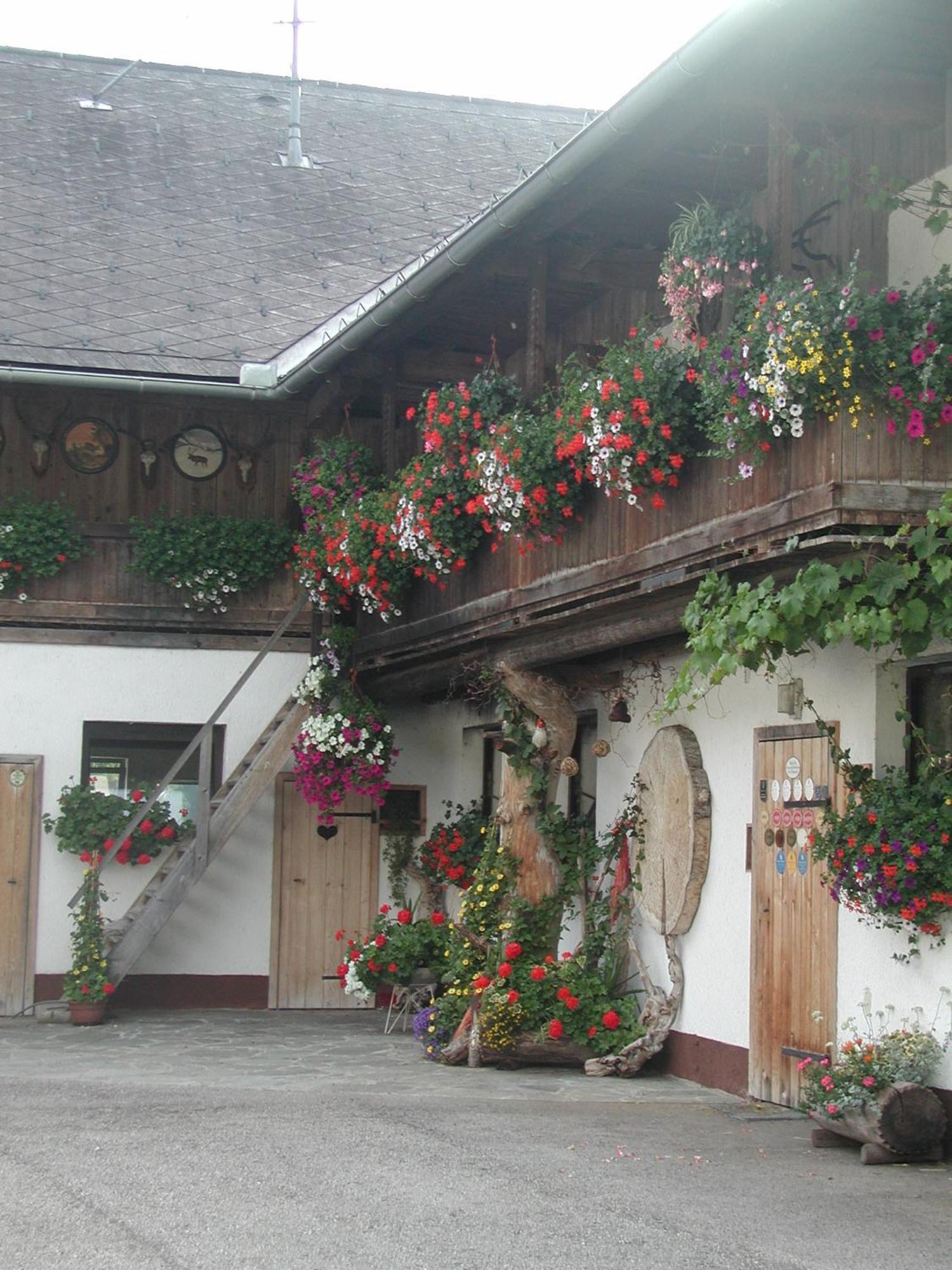 Ferienhof Unterfuehrholzergut Villa Klaus an der Pyhrnbahn Esterno foto