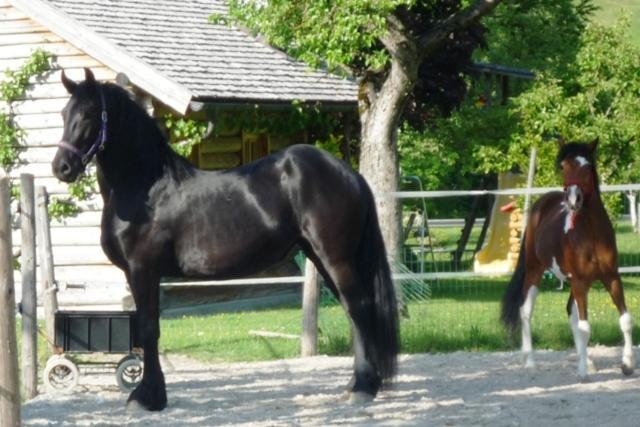 Ferienhof Unterfuehrholzergut Villa Klaus an der Pyhrnbahn Esterno foto